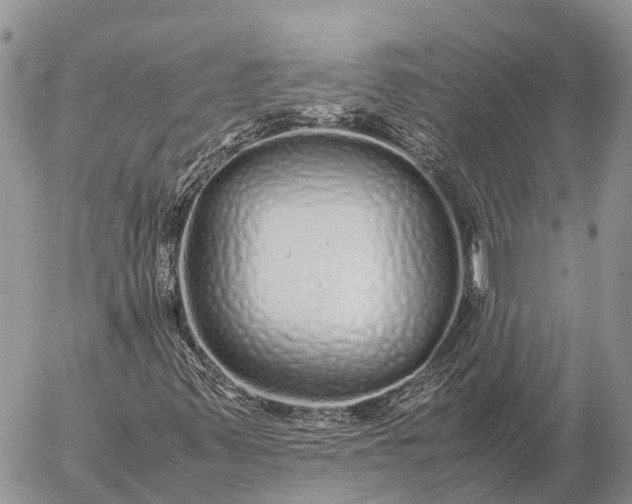 X0000057101347200509231705