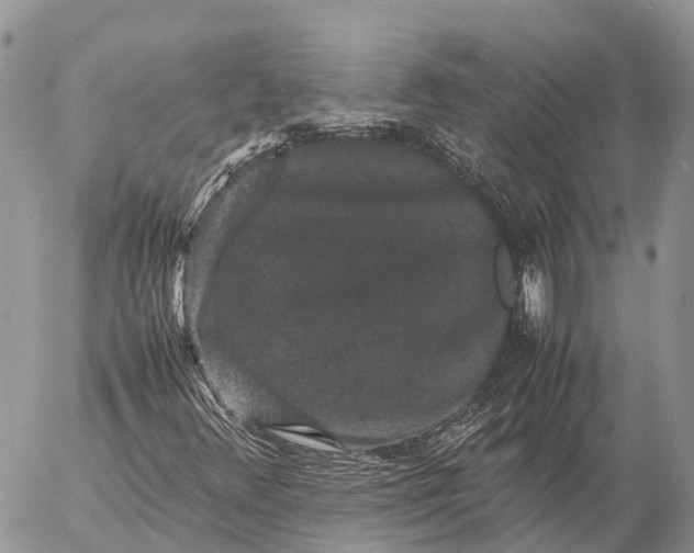 X0000057101348200509231705