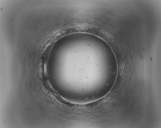 X0000057101349200509231705