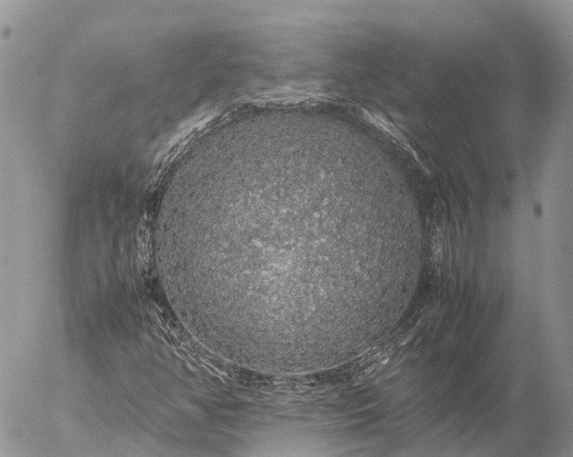 X0000057101350200509231705