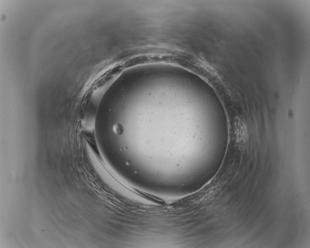 X0000057101352200509231705