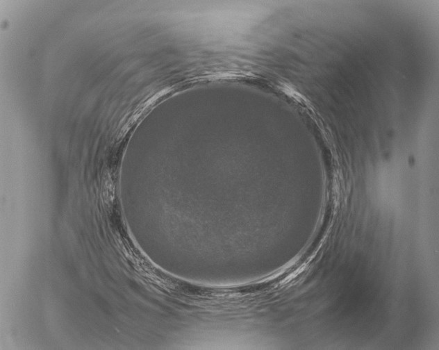 X0000057101353200509231705