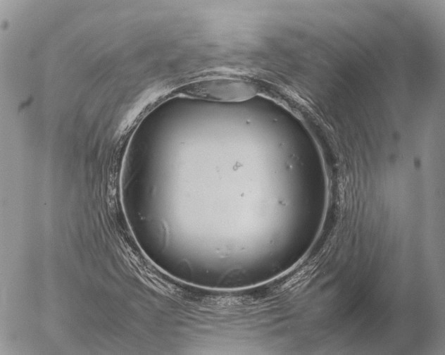 X0000057101355200509231705