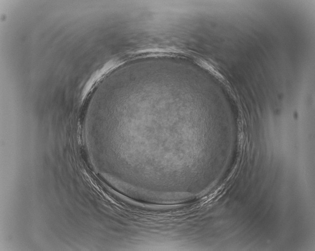 X0000057101357200509231705