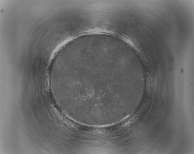 X0000057101358200509231705