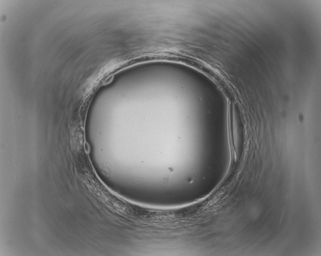 X0000057101363200509231705