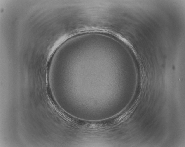 X0000057101365200509231705