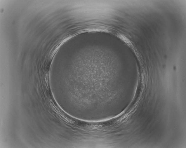 X0000057101369200509231705