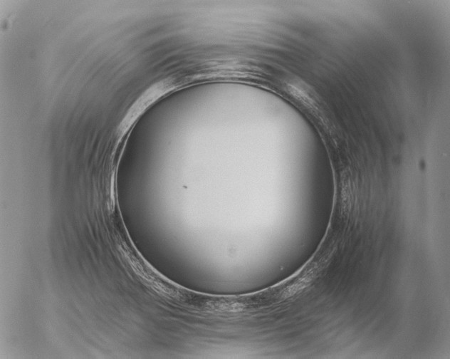 X0000057101370200509231705