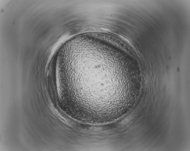 X0000057101371200509231705