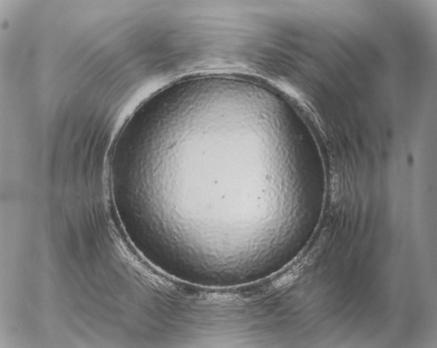 X0000057101374200509231704