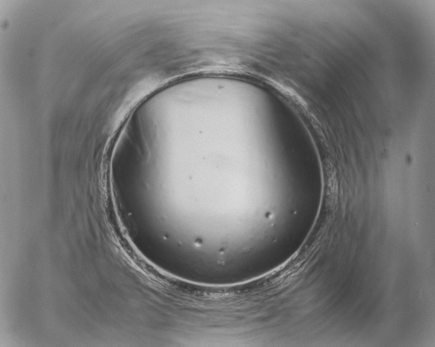 X0000057101375200509231704