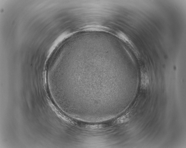 X0000057101376200509231704