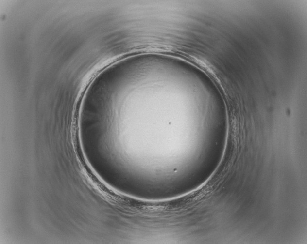 X0000057101379200509231704