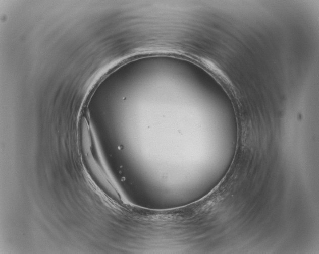 X0000057101380200509231704