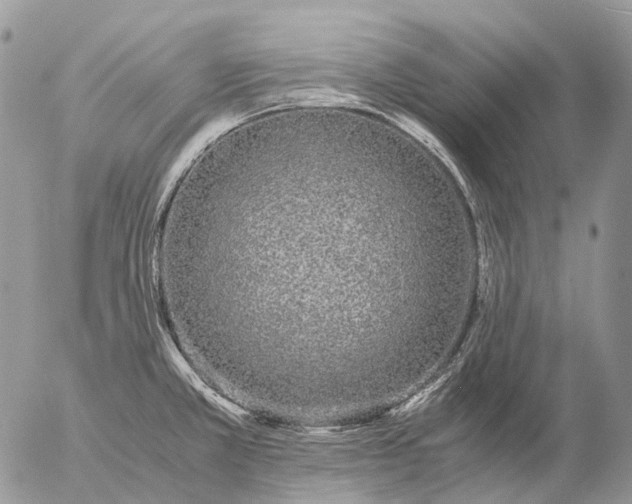 X0000057101381200509231704