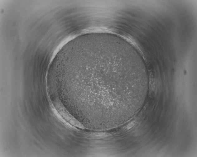 X0000057101382200509231704