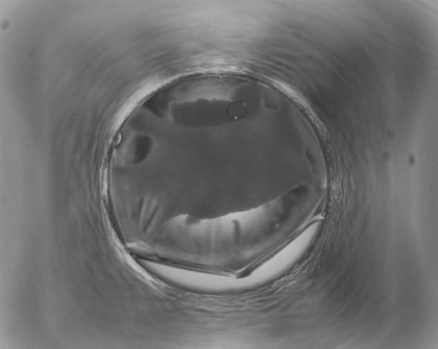 X0000057101383200509231704