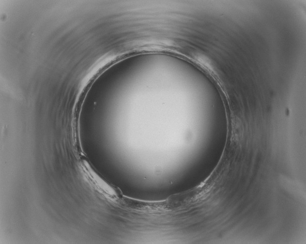 X0000057101384200509231704