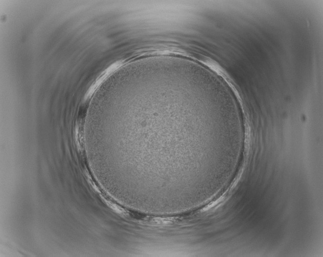 X0000057101385200509231704