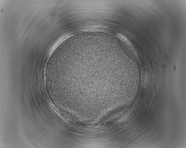 X0000057101386200509231704