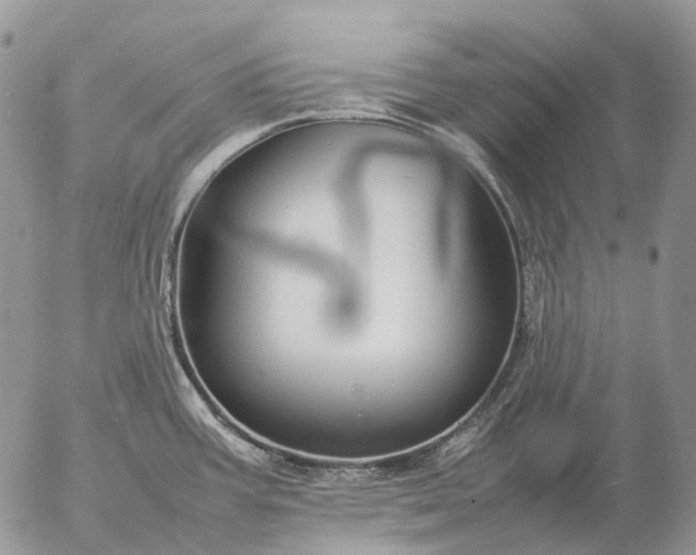 X0000057101387200509231704