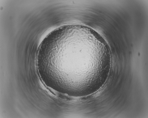 X0000057101390200509231704