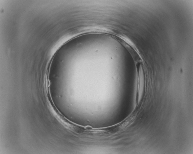 X0000057101391200509231704