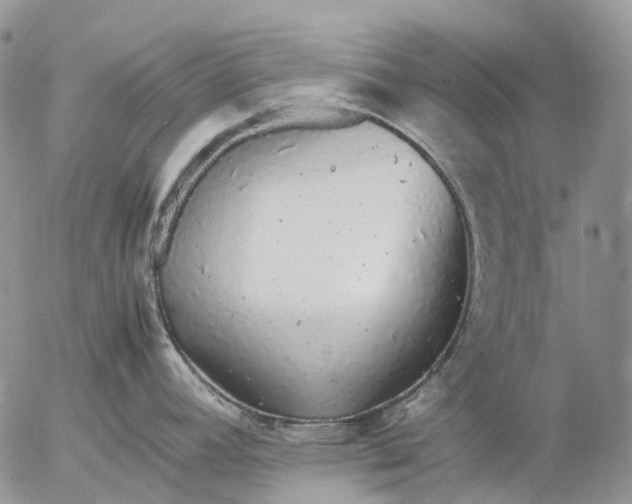 X0000057101392200509231704