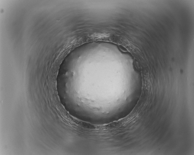 X0000057101393200509231703