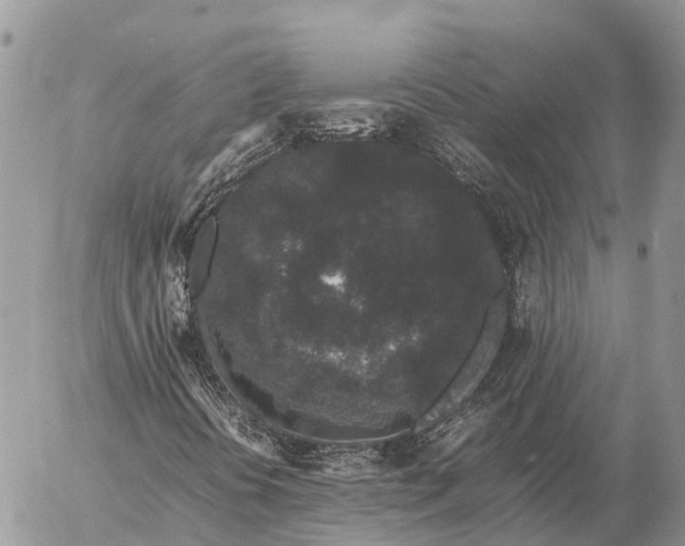 X0000057101394200509231703