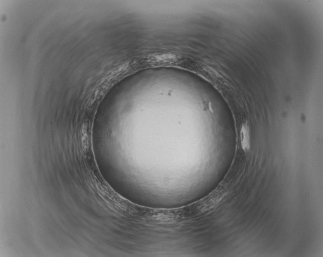 X0000057101395200509231703