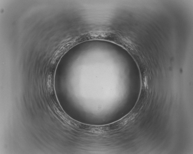 X0000057101396200509231703