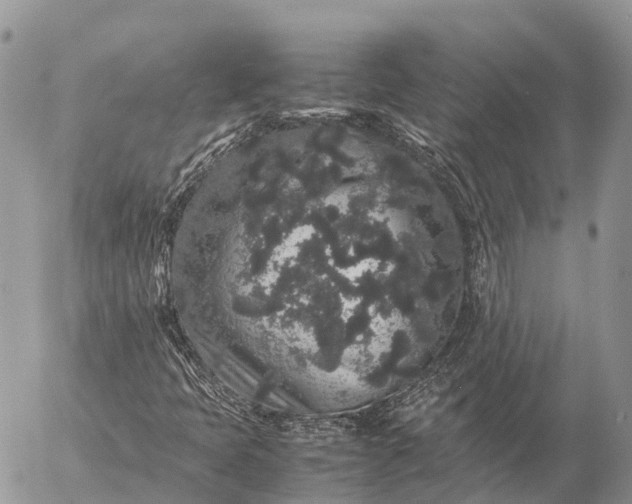 X0000057101397200509231703