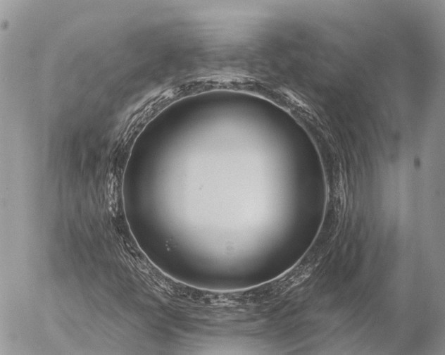 X0000057101398200509231703