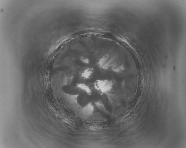 X0000057101399200509231703