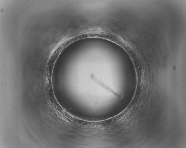 X0000057101400200509231704