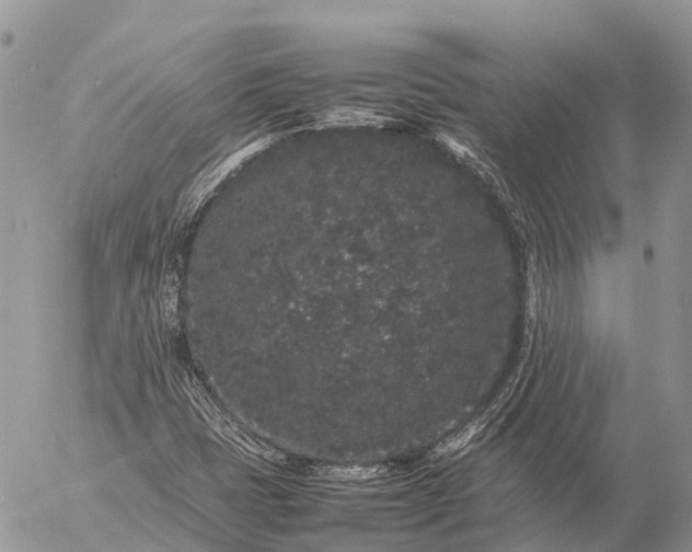 X0000057101401200509231704