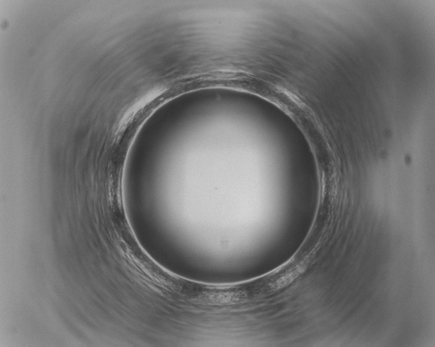 X0000057101402200509231704