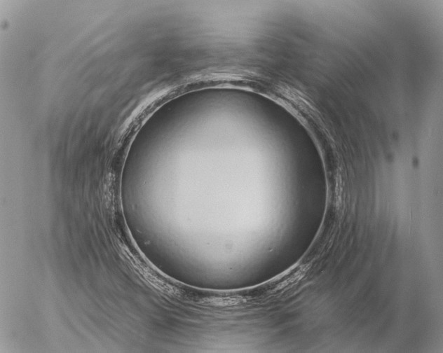 X0000057101404200509231704