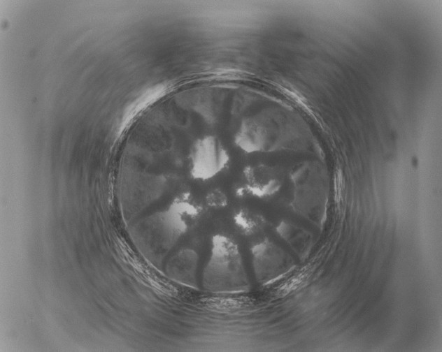 X0000057101405200509231704