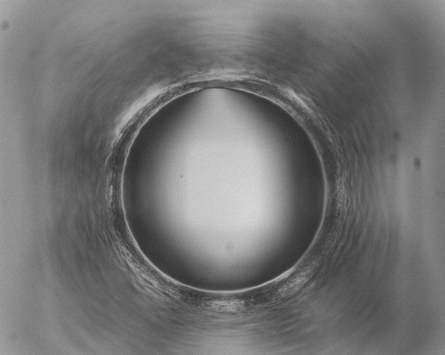 X0000057101406200509231704