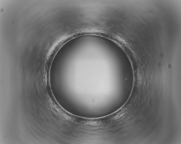 X0000057101408200509231704