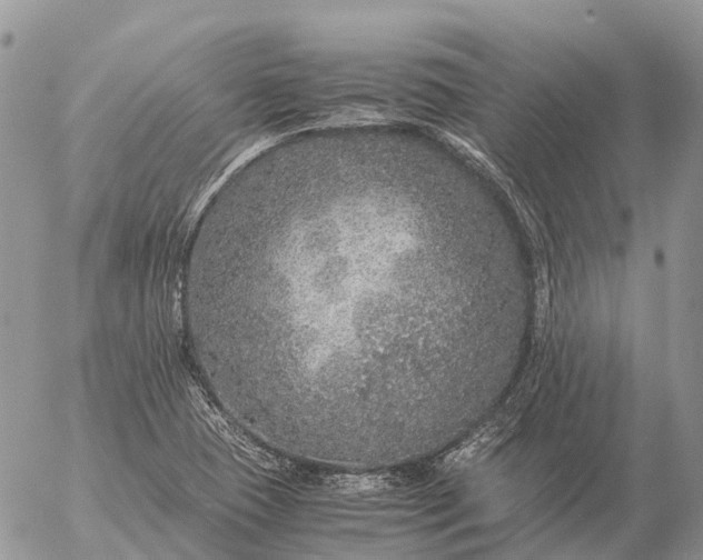 X0000057101409200509231704