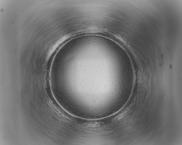 X0000057101410200509231704