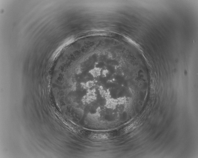 X0000057101411200509231704