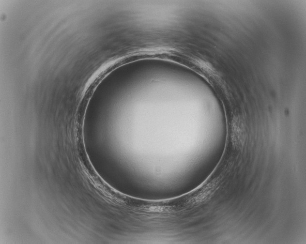 X0000057101412200509231704