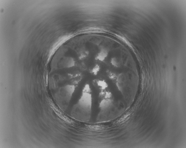 X0000057101413200509231704