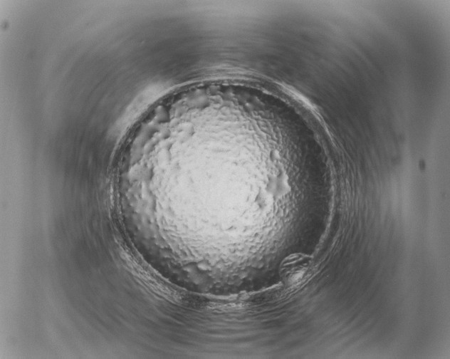 X0000057101415200509231704