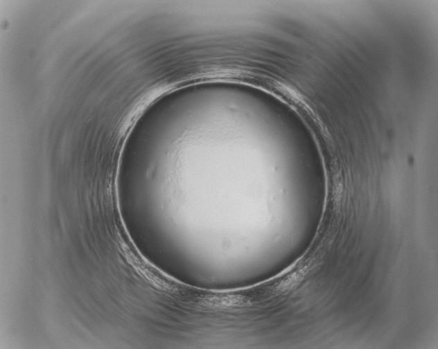 X0000057101417200509231704